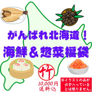 【送料込】がんばれ北海道！海鮮＆惣菜福袋（竹：10000円） 食品ロス フードロス