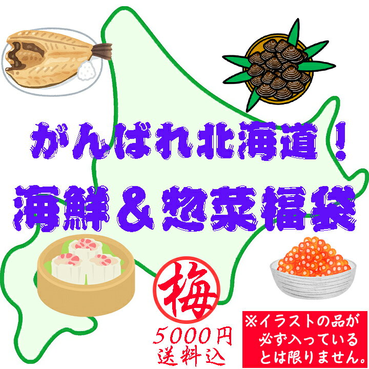 【送料込】がんばれ北海道 海鮮＆惣菜福袋 梅：5000円 食品ロス フードロス