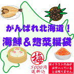 【送料込】がんばれ北海道！海鮮＆惣菜福袋（梅：5000円） 食品ロス フードロス