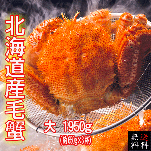 【送料無料】北海道産 ボイル毛蟹 大 3杯 1950g (約650gx3杯)（冷凍）【毛がに】【毛ガニ】【けがに】【蟹】【かに】【蟹味噌】【蟹みそ】【道産品】【海鮮グルメ】【お歳暮】【お中元】【ギフト】【プレゼント】【お祝い】【父の日】【母の日】のサムネイル
