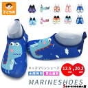マリンシューズ キッズ 子供 水陸両用 アクアシューズ ビーチシューズ シュノーケリングシューズ ウォーターシューズ 海 プール 軽量 快適 水遊び 川遊び 岩...