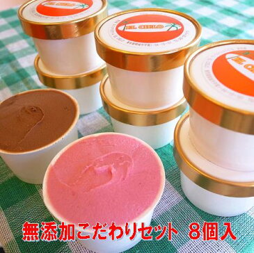 無添加 体に優しい手作りアイスクリーム 選べるこだわりセット8個入 ミルク あずき 抹茶 チョコレート 黒大豆きな粉 ハイビスカス チョコチップ ブルーベリー 紅茶 巨峰 ラムレーズン フロマージュブランからお好みで 内祝い 詰め合わせ ギフト 父の日 お中元 御祝