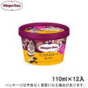 母の日スイーツ｜ギフト対応ハーゲンダッツミニカップ　バニラチョコレートサンデー　110ml×12入北海道沖縄離島は配送料追加