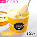 母の日 春ギフト メッセージ ギフト対応 アイスクリームのアイスクリームのきしもとミニカップ Yummy ヤミー バニラ 120ml×12入