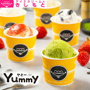 母の日 春ギフト メッセージ ギフト対応 アイスクリームのきしもとYummy ヤミー ミニカップ 120ml 各種セット