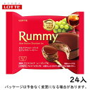 ロッテ　ラミーチョコアイス　100ml×24入