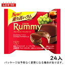 ロッテラミーチョコアイス　100ml×24入北海道沖縄離島は配送料追加