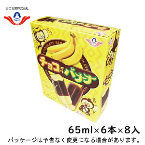 田口乳業チョコかけバナナ　65ml×6本×8入北海道沖縄離島は配送料追加