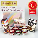ハーゲンダッツ アイスクリーム サファイアセット (8種・16個入り)【ver.15】【ラッピング付】 詰め合わせ お彼岸 アイス セット 送料無料 贈答 ギフ...
