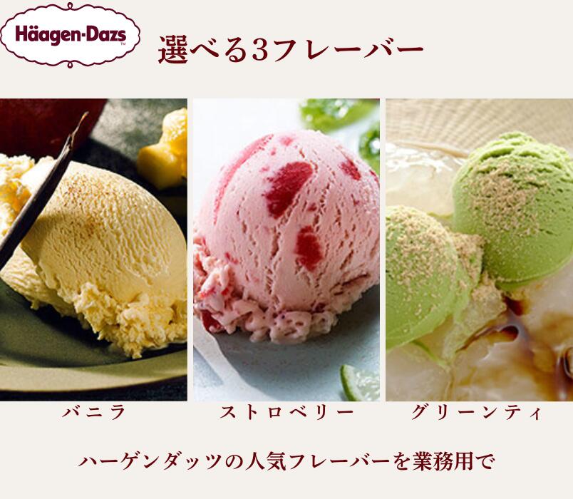 【2個から送料無料】ハーゲンダッツ 業務用 2L バルク 大容量 ご褒美アイス バニラ・グリーンティ・ストロベリー 学園祭 お祭り イベント ice-ouan-10000837 創作和アイスの店「桜庵」 サンプル画像3