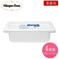 ハーゲンダッツ　業務用アイス2Lバルク【3個で送料無料】　自宅用 イベント 景品