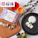 MOCHIMORE レーズンバター【和と洋の素材をミックスした創作もちアイス】2024 ひんやり スイーツ 自宅用 プレゼントにも