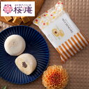 MOCHI MORE 塩キャラメル【和と洋の素材をミックスした創作もちアイス】2025 ひんやり スイーツ 景品 イベント 自宅用 ご褒美 プレゼントにも