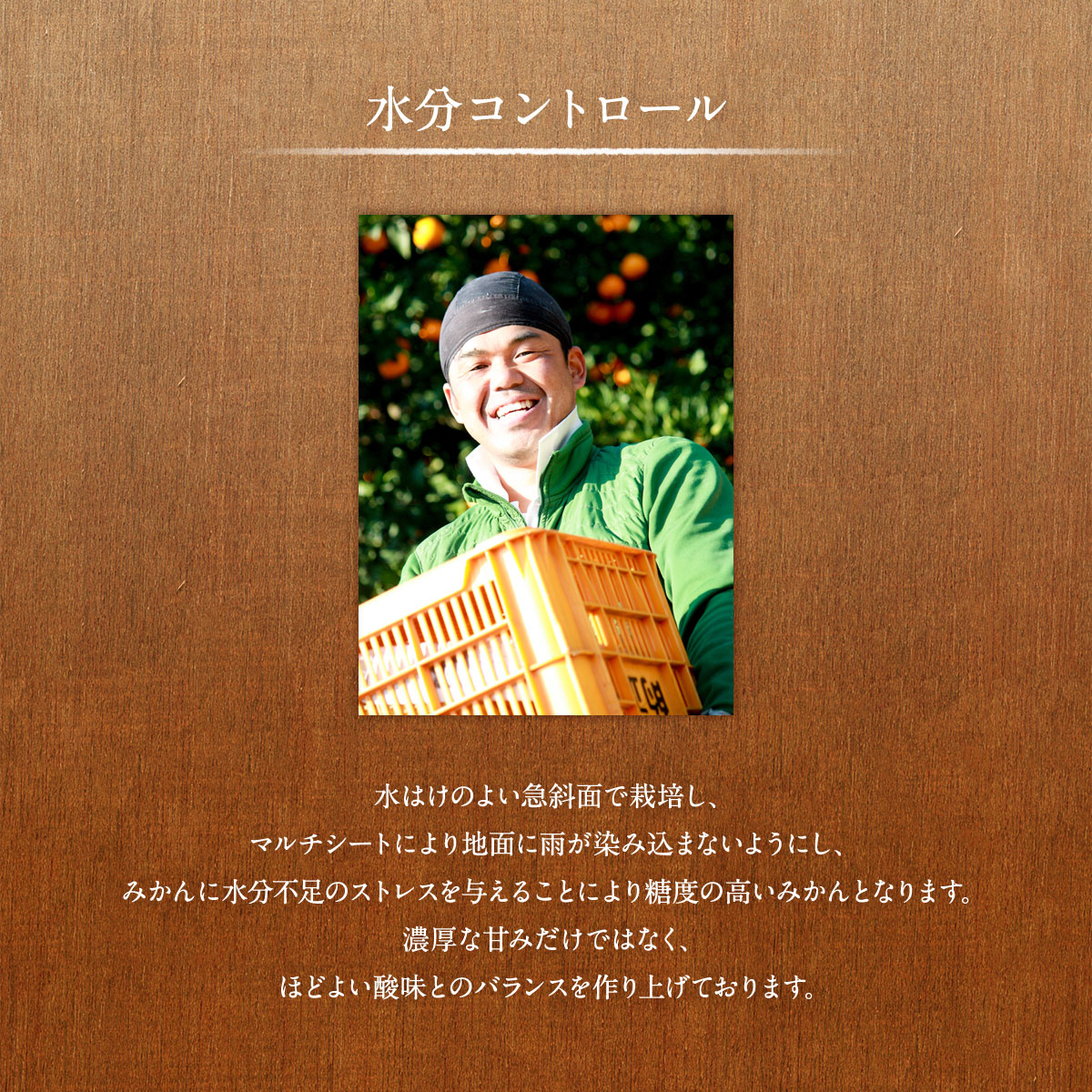 有田みかんの中でも超貴重な田口産！清美オレンジ5キロLL　秀品　低農薬　有機肥料AMA-KIYO5K