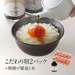 日本一こだわり卵10個入り×2パックと醤油のセット　ここにしかないこだわりを養鶏場から直接お届け　EG-20S