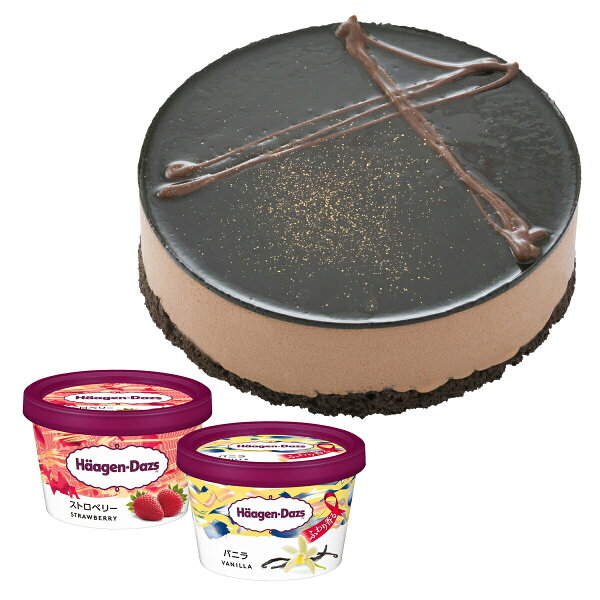 2〜4名用 ホールケーキ(冷凍)ベルギーチョコムースハーゲンダッツ4号バニラ・ストロベリーのミニカップ2個セットお誕生日プレゼ