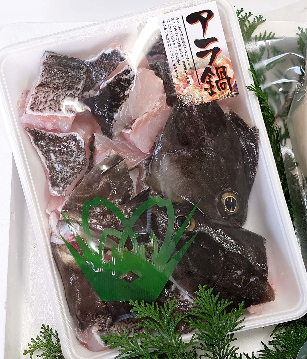 対馬の天然クエ　1.4キロ(4～5人前)　tusima-kue1.4　高級魚　新鮮　天然クエ　肉厚　鍋用　全国配送　送料無料