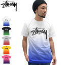 【デッドストック】ステューシー STUSSY Stock Mesh Tシャツ 半袖(stussy tee ティーシャツ T-SHIRTS トップス メンズ・男性用 1903530 Stussy stussy ストゥーシー スチューシー)[M便 1/1] ice filed icefield