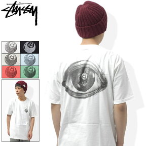 ステューシー STUSSY Tシャツ 半袖 メンズ Reaper ( stussy tee ティーシャツ T-SHIRTS カットソー トップス メンズ・男性用 1904192 USAモデル 正規 品 ストゥーシー スチューシー )[M便 1/1] ice field icefield