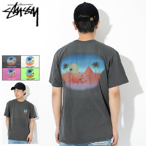 ステューシー STUSSY Tシャツ 半袖 メンズ Oasis Pigment Dyed ( stussy tee ピグメント ティーシャツ T-SHIRTS カットソー トップス メンズ 男性用 1904204 USAモデル 正規 品 ストゥーシー スチューシー )[M便 1/1] ice field icefield