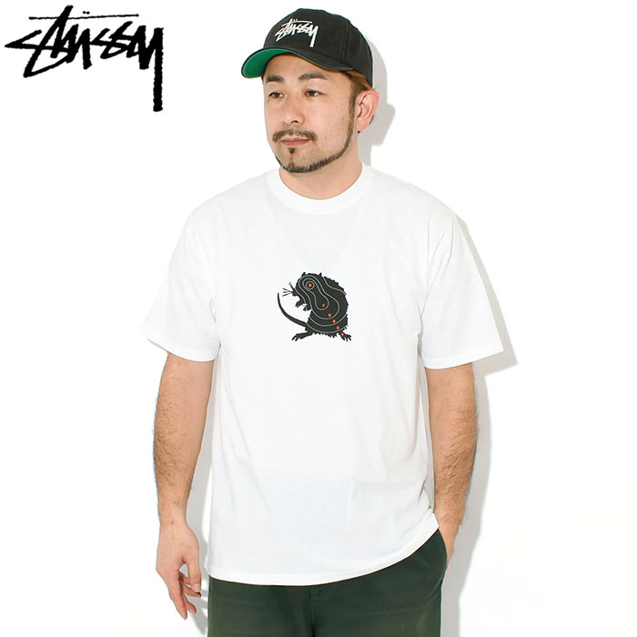 楽天市場】stussy tシャツ（サイズ（S/M/L）S）の通販