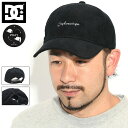 ディーシー DC キャップ メンズ WR ポニーテール ( dc WR Ponytail Cap ローキャップ ストラップバック コーデュロイ 帽子 メンズ 男性用 DCP224246 ) ice field icefield