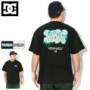 ディーシー DC Tシャツ 半袖 メンズ SK クルー ( dc SK Crew S/S Tee ビッグシルエット オーバーサイズ ティーシャツ T-SHIRT...