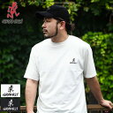 グラミチ GRAMICCI Tシャツ 半袖 メンズ ワン ポイント ロゴ ( GRAMICCI One Point Logo S/S Tee ティーシャツ T-SHIRTS カットソー トップス メンズ レディース ユニセックス 男女兼用 G4SU-T096 ) M便 1/1 ice field icefield