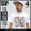 エイチティエムエル ゼロスリー HTML ZERO3 Tシャツ 半袖 メンズ グローリー ダズル(html zero3 Glory Dazzle S/S Tee ティーシャツ T-SHIRTS カットソー トップス エイチティーエムエル) ice filed icefield
