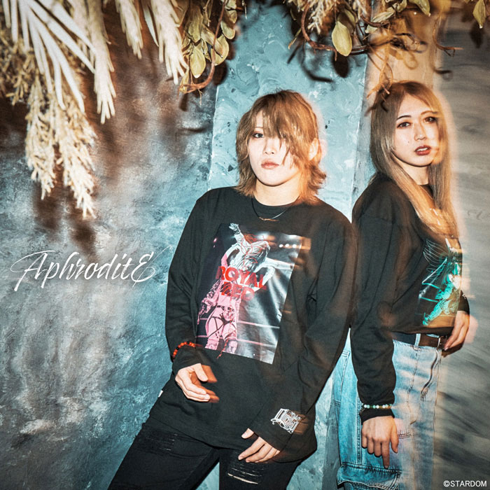 HTML ZERO3×STARDOM 林下詩美 上谷沙弥 コラボ ロンT Tシャツ 長袖 メンズ ( エイチティエムエル ゼロスリー×スターダム AphroditE L/S Tee アフロディーテ ティーシャツ T-SHIRTS カットソー ロング ロンティー 長袖Tシャツ トップス HTML-T611 )のサムネイル