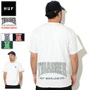 nt HUF TVc  Y XbV[ nC |Cg R{ ( HUF~THRASHER High Point S/S Tee eB[Vc T-SHIRTS Jbg\[ gbvX Y jp TS01919 )[M 1/1] ice field icefield