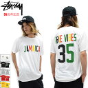 【アウトレット(不良箇所あり)】ステューシー STUSSY Tシャツ 半袖 メンズ Jamaica 35 ( stussy tシャツ tee ティーシャツ T-SHIRTS カットソー トップス メンズ 1903576 ステューシー tシャツ ストゥーシー スチューシー )[M便 1/1] ice field icefield