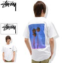 【アウトレット(不良箇所あり)】ステューシー STUSSY Tシャツ 半袖 メンズ 3 Palms ( stussy tee ティーシャツ T-SHIRTS カットソー トップス メンズ・男性用 1903775 ストゥーシー スチューシー )[M便 1/1] ice field icefield