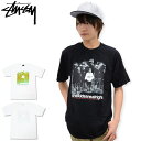 【アウトレット(不良箇所あり)】ステューシー STUSSY Tシャツ 半袖 メンズ The Kids Are Alright ( stussy tee ティーシャツ T-SHIRTS カットソー トップス メンズ・男性用 1903814 ストゥーシー スチューシー ) ice field icefield