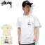 ڥȥå(ɲսꤢ)ۥƥ塼 STUSSY T Ⱦµ  Esc ( stussy tee ƥ T-SHIRTS åȥ ȥåץ 󥺡 1904010 ȥ 塼 )[M 1/1] ice field icefield