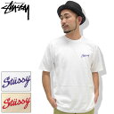 ステューシー 服 メンズ 【アウトレット(不良箇所あり)】ステューシー STUSSY Tシャツ 半袖 メンズ Champion ( stussy tee ティーシャツ T-SHIRTS カットソー トップス メンズ・男性用 1904064 USAモデル 正規 品 ストゥーシー スチューシー )[M便 1/1] ice field icefield