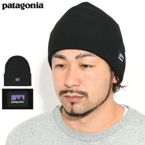 パタゴニア Patagonia ニット帽 エブリデイ ビーニー ( Patagonia Everyday Beanie ニットキャップ 帽子 メンズ レディース ユニセックス 男女兼用 アウトドア USAモデル 33430 )[M便 1/1] ice field icefield