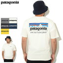 p^SjA Patagonia TVc  Y P-6 ~bV I[KjbN ( Patagonia P-6 Mission Organic S/S Tee eB[Vc T-SHIRTS Jbg\[ gbvX AEghA USAf 37529 )[M 1/1] ice field icefield