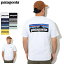 ֥ѥ˥ Patagonia T Ⱦµ  P-6  쥹ݥ󥷥ӥƥ ( Patagonia P-6 Logo Responsibili S/S Tee ƥ T-SHIRTS åȥ ȥåץ ȥɥ USAǥ 38504 )[M 1/1] ice field icefieldפ򸫤