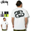 ステューシー STUSSY Tシャツ 半袖 メンズ Dominoes ( stussy tee ティーシャツ T-SHIRTS カットソー トップス メンズ 男性用 1904898 USAモデル 正規 品 ストゥーシー スチューシー ) M便 1/1 ice field icefield