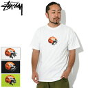 ステューシー STUSSY Tシャツ 半袖 メンズ Ladybug ( stussy tee ティーシャツ T-SHIRTS カットソー トップス メンズ・男性用 1904899 USAモデル 正規 品 ストゥーシー スチューシー ) ice field icefield