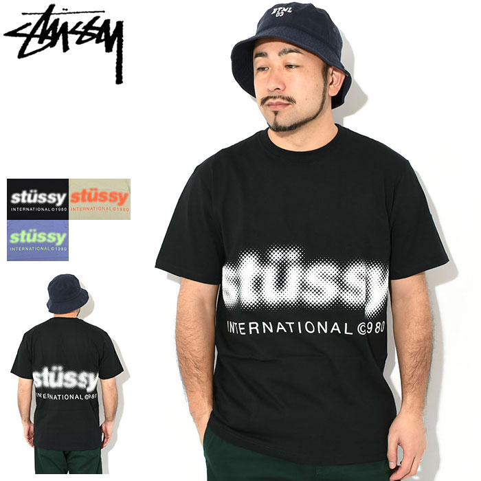 ステューシー STUSSY Tシャツ 半袖 メンズ Blur ( stussy tee ティーシャツ T-SHIRTS カットソー トップス メンズ・男性用 1904972 USAモデル 正規 品 ストゥーシー スチューシー ) ice field icefield