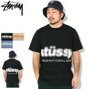 ステューシー STUSSY Tシャツ 半袖 メンズ Blur ( stussy tee ティーシャツ T-SHIRTS カットソー トップス メンズ・男性用 1904972 USAモデル 正規 品 ストゥーシー スチューシー ) ice field icefield