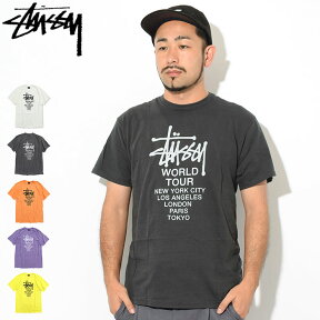 ステューシー STUSSY Tシャツ 半袖 メンズ Tour Pigment Dyed ( stussy tシャツ tee ピグメント ティーシャツ T-SHIRTS カットソー トップス メンズ 1904401 USAモデル 正規 品 ストゥーシー スチューシー )[M便 1/1] ice field icefield