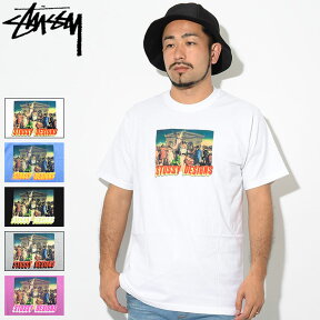 ステューシー STUSSY Tシャツ 半袖 メンズ Zeus ( stussy tee ティーシャツ T-SHIRTS カットソー トップス メンズ・男性用 1904393 USAモデル 正規 品 ストゥーシー スチューシー )[M便 1/1] ice field icefield