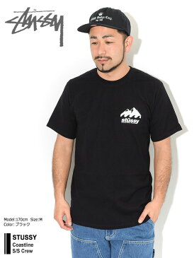 ステューシー STUSSY Tシャツ 半袖 メンズ Coastline ( stussy tee ティーシャツ T-SHIRTS カットソー トップス メンズ・男性用 1904504 USAモデル 正規 品 ストゥーシー スチューシー )[M便 1/1] ice field icefield