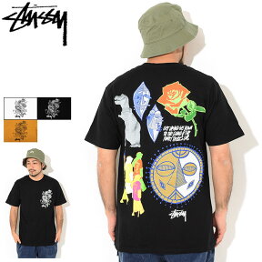 ステューシー STUSSY Tシャツ 半袖 メンズ Funky Tribe ( stussy tee ティーシャツ T-SHIRTS カットソー トップス メンズ・男性用 1904620 USAモデル 正規 品 ストゥーシー スチューシー )[M便 1/1] ice field icefield