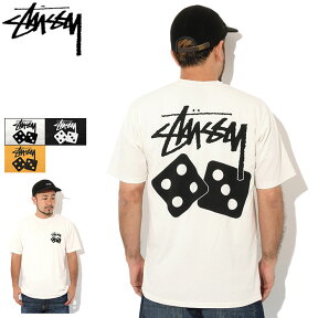 ステューシー STUSSY Tシャツ 半袖 メンズ & レディース Dice Pigment Dyed ( stussy tシャツ tee ピグメント ティーシャツ T-SHIRTS カットソー トップス メンズ 1904721 USAモデル 正規 品 ストゥーシー スチューシー )[M便 1/1] ice field icefield