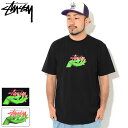 ステューシー STUSSY Tシャツ 半袖 メンズ OZ ( stussy tee ティーシャツ T-SHIRTS カットソー トップス メンズ・男性用 1904794 USAモデル 正規 品 ストゥーシー スチューシー )[M便 1/1] ice field icefield