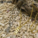 サブサエティー サブサエティ Subciety ネックレス クラウド ブラス ( subciety サブサエティー Crowd Brass Necklace アクセサリー 107-94992 )[M便 1/1] ice field icefield